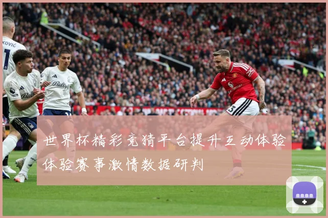 世界杯精彩竞猜平台提升互动体验体验赛事激情数据研判