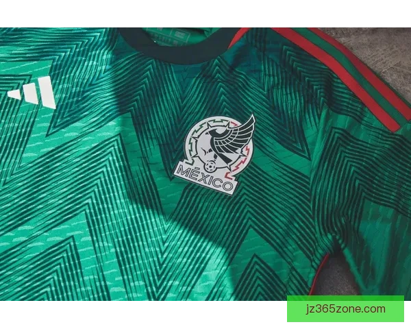 加拿大足协呼吁本国意大利球迷换球衣不要再等四年支持球队